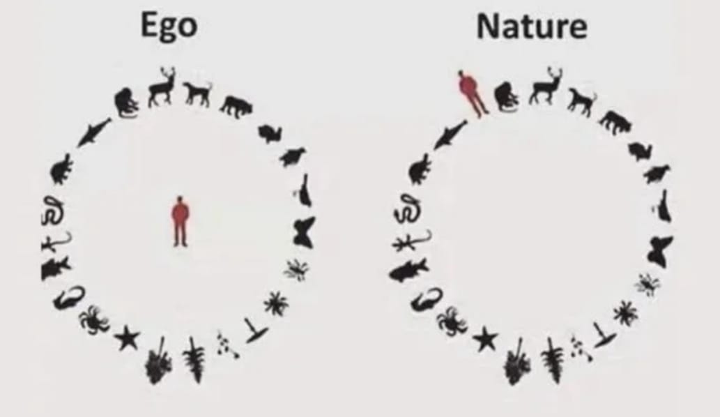 Isolation By Ego Learning Daily isolation-by-ego-learning-daily